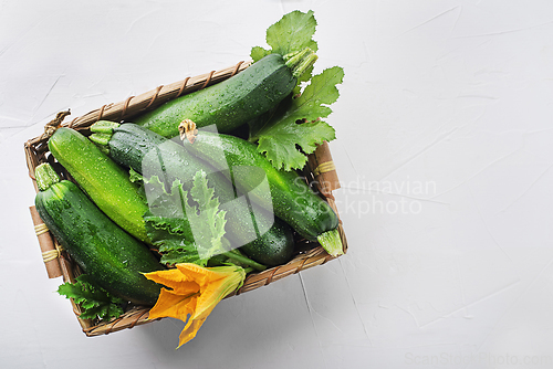 Image of Zucchini