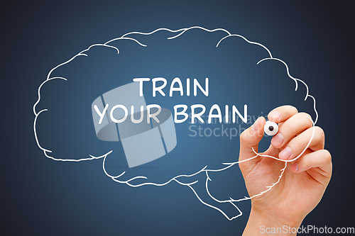 Image of Train Your Brain Drawn Concept