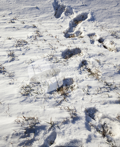 Image of Snow drifts in winter