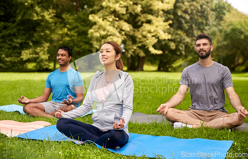 Image of group of people doing yoga at summer park