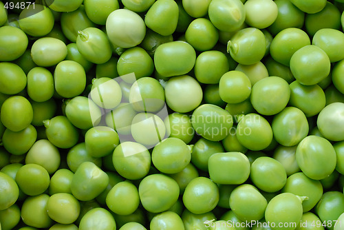 Image of Pea