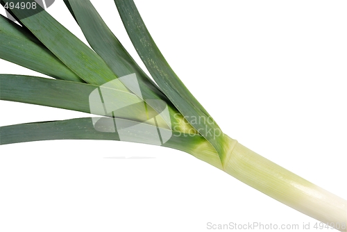 Image of Leek