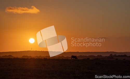 Image of Sun Setting over Newhaven Radio Mast