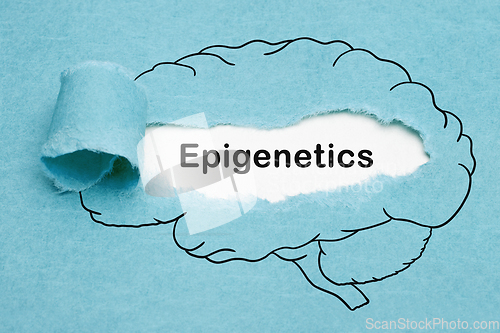 Image of Epigenetics Drawn Human Brain Concept