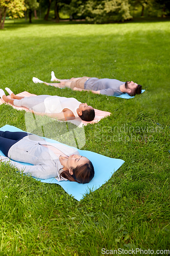 Image of group of people doing yoga at summer park