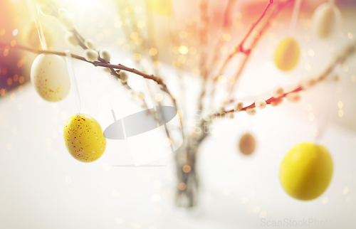 Image of close up of pussy willow decorated by easter eggs