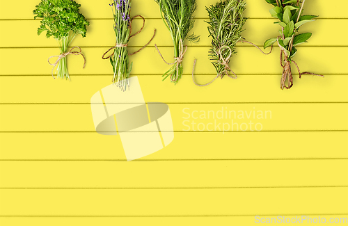 Image of greens, spices or medicinal herbs on yellow boards