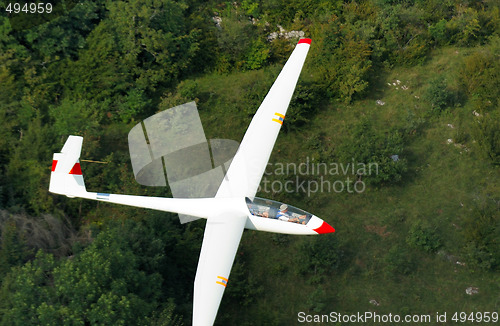 Image of A glider Janus A flying over Alps forest