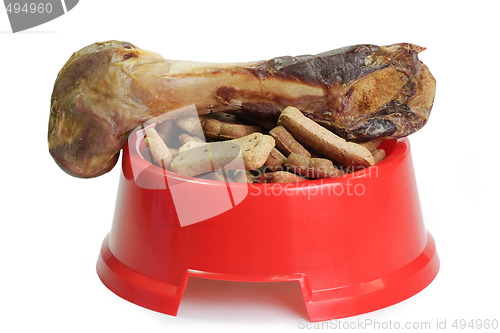 Image of Dog bowl