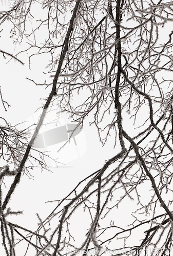 Image of Snow drifts in winter