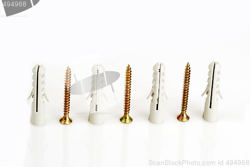 Image of Screws and dowels_1
