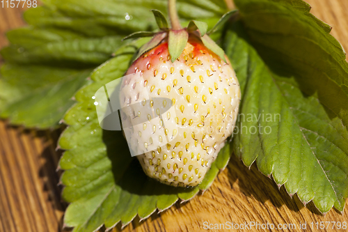 Image of white unripe strawberry