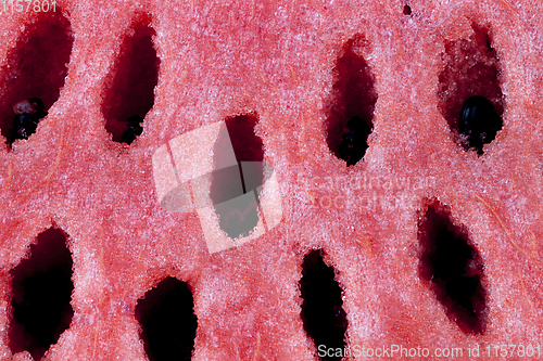 Image of ripe watermelon
