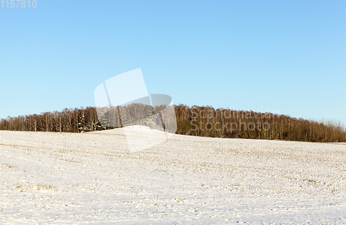 Image of land covered with snow