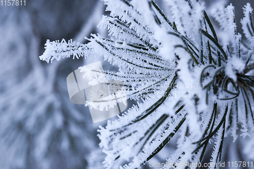 Image of Winter time