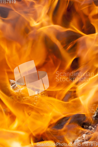 Image of beautiful flame