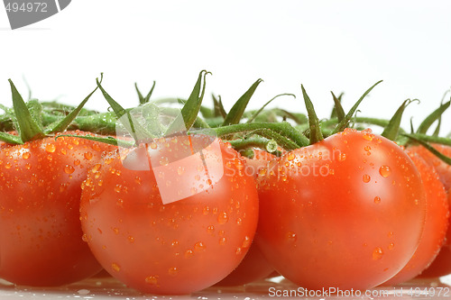 Image of Tomatoes