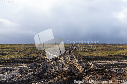 Image of Deep track on the field