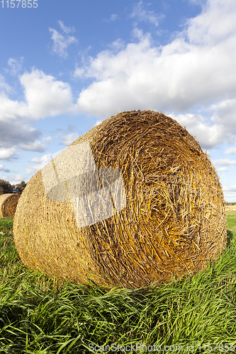 Image of green yellow stack