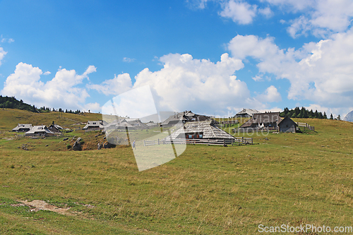 Image of Herdsmens huts and cows on the Big Mountain Plateau in Slovenia 