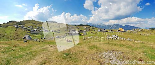 Image of Herdsmens huts and cows on the Big Mountain Plateau in Slovenia 