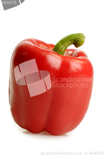 Image of Red bell pepper