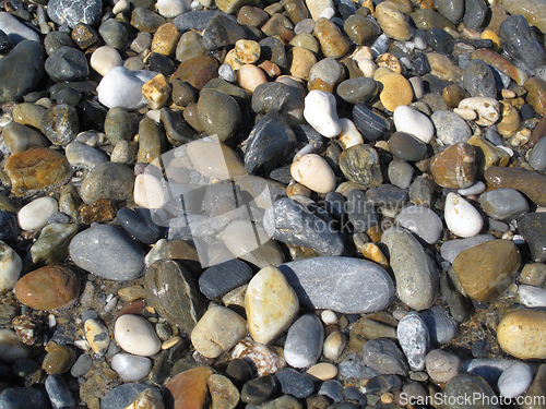 Image of Wet different sea pebbles on the beach