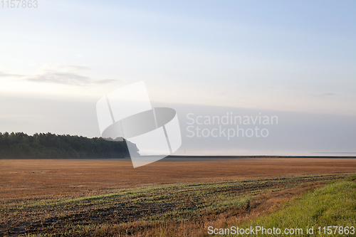 Image of autumn landscape
