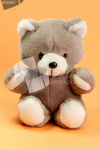 Image of Teddy
