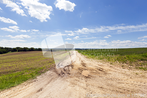 Image of Road through the field