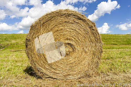 Image of straw grass