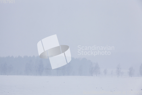 Image of Winter landscape