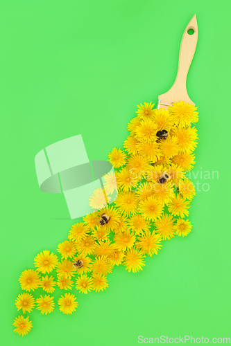 Image of Dandelion Flower Bee Pollination Concept
