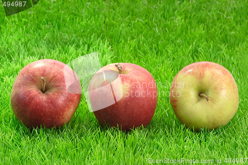 Image of Three Apples