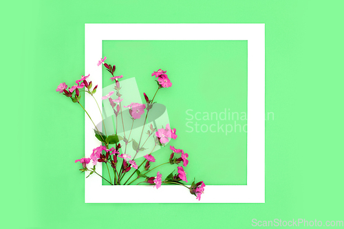 Image of Red Campion Wildflower Abstract Design
