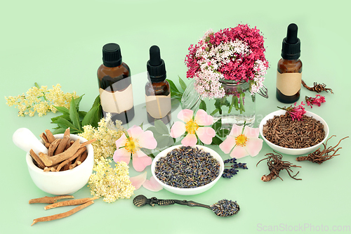 Image of Healing Herbs and Flowers for Naturopathic Medicine