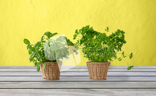 Image of basil and parsley herbs in wicker baskets on table