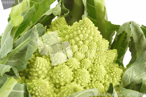 Image of Romanesco_2