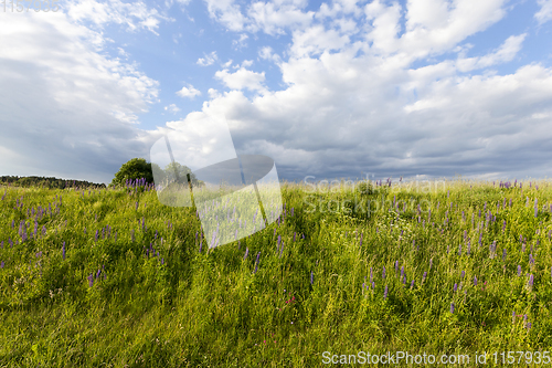 Image of hill with grass