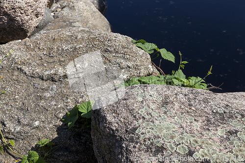 Image of large stones