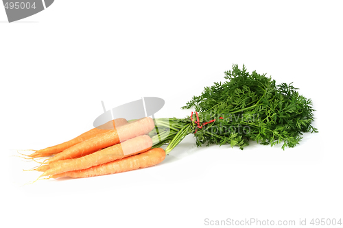 Image of Fresh carrots