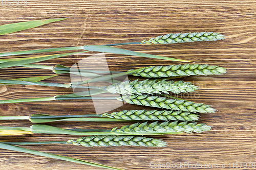 Image of green ears of wheat