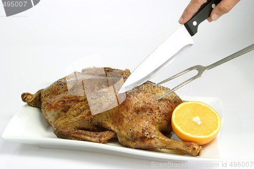 Image of Roasted duck_11