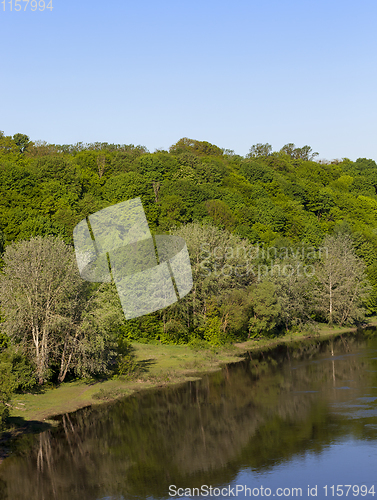 Image of deciduous trees