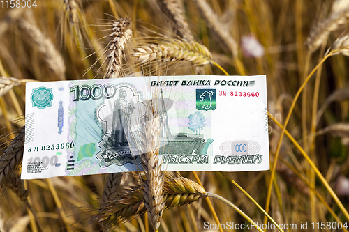 Image of Russian rubles