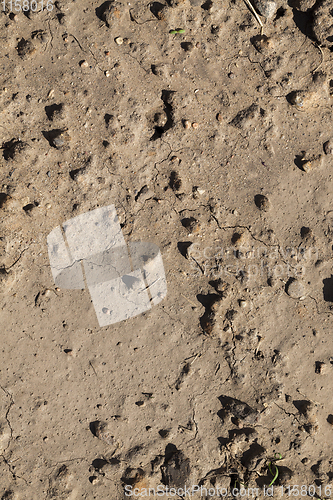 Image of dry soil