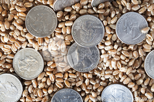 Image of coin american and grain