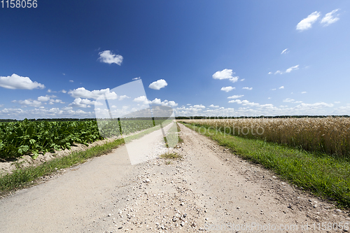 Image of road in a field