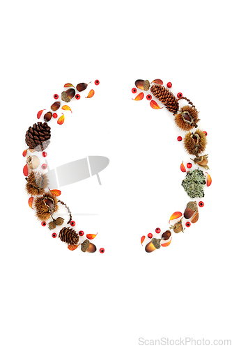 Image of Wreath of Autumn Flora Nuts and Berry Fruit