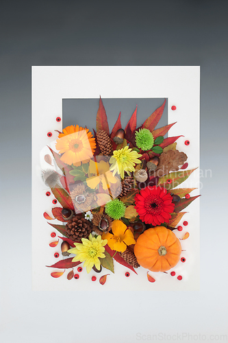 Image of Thanksgiving and Halloween Abstract Nature Background 